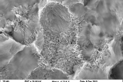 Smectite (dioctahedral)