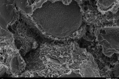 Smectite (dioctahedral)