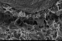 Smectite (dioctahedral)