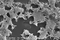 Smectite (dioctahedral)