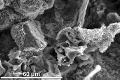 Smectite (dioctahedral)