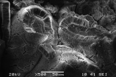 Smectite (trioctahedral)